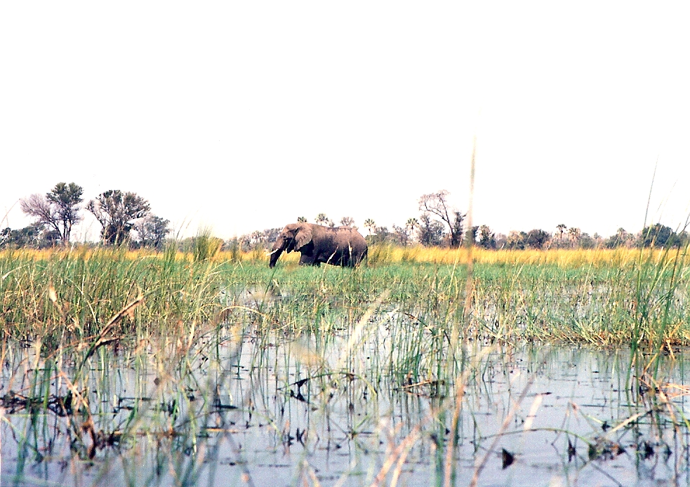 Destination photograph: Botswana
