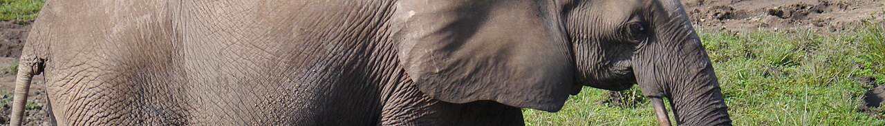 Destination photograph: Central African Republic
