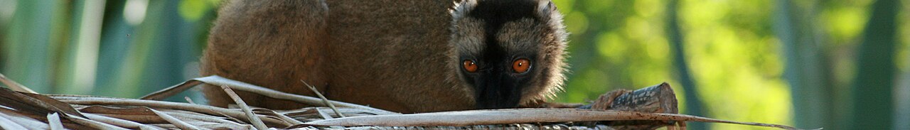 Destination photograph: Mayotte